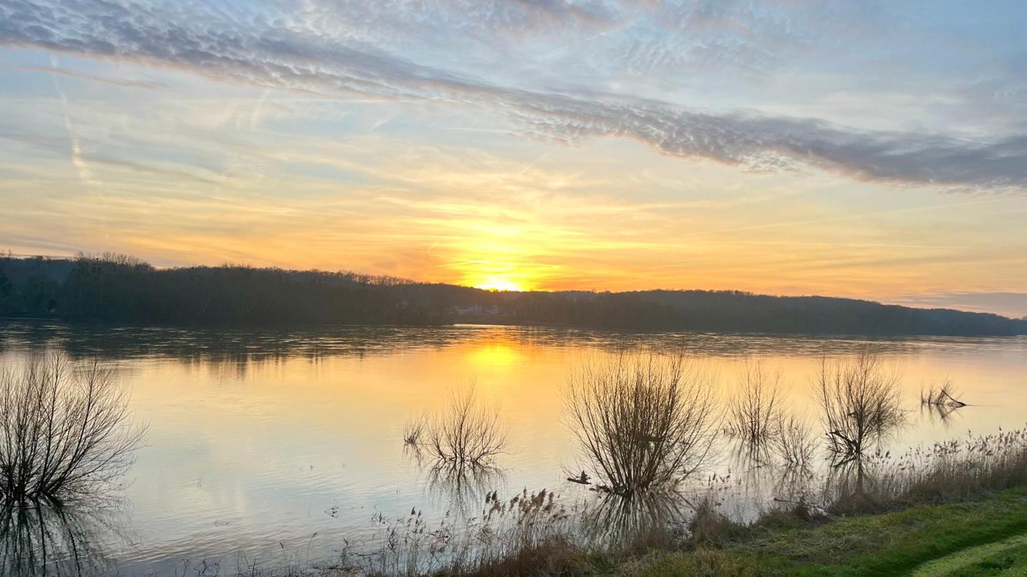 Saint-Clément-des-Levées Un Mirage Tropical En Bord De Loire, Love Et Detente מראה חיצוני תמונה